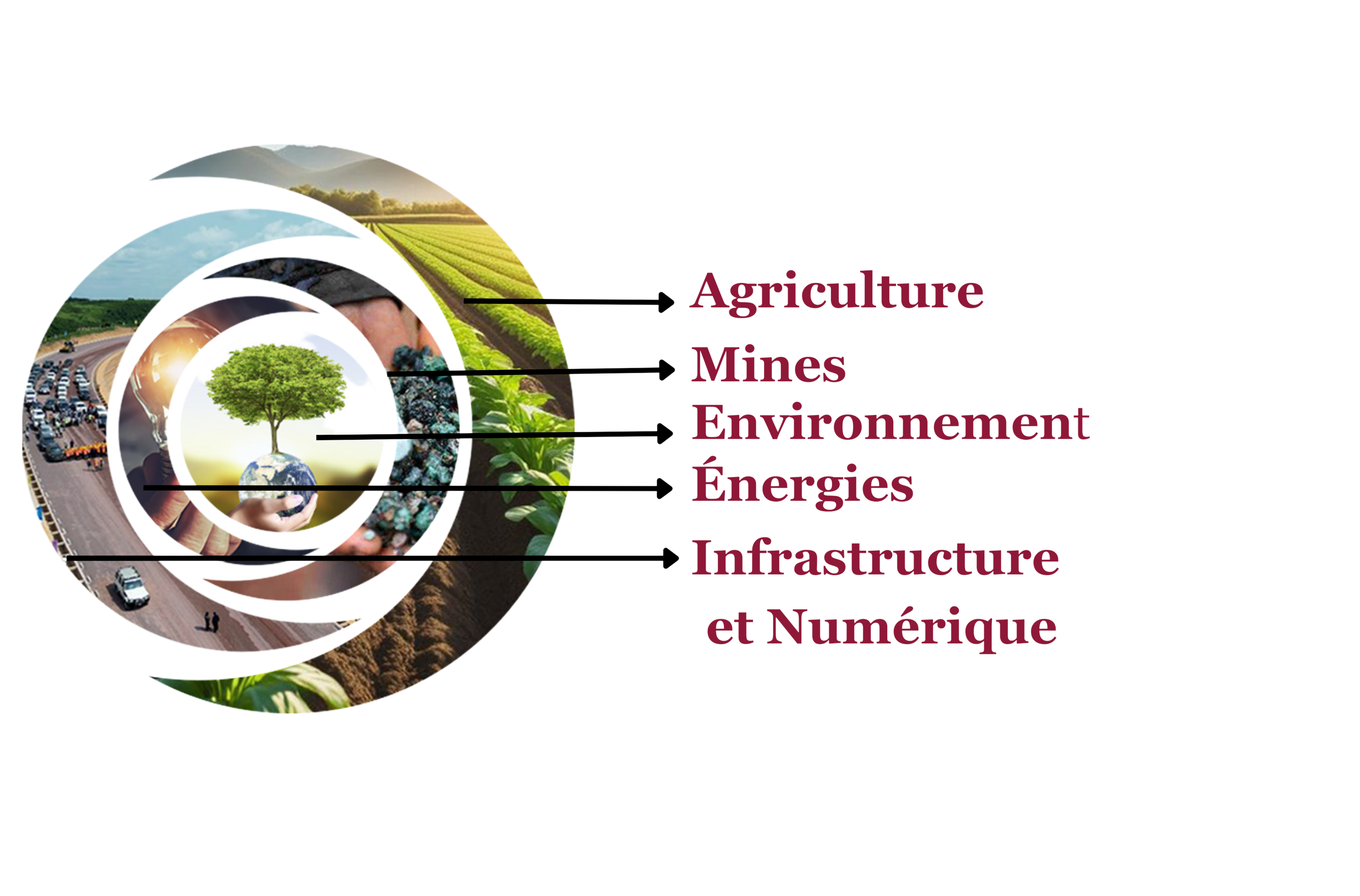 CORES – secteurs d’activité